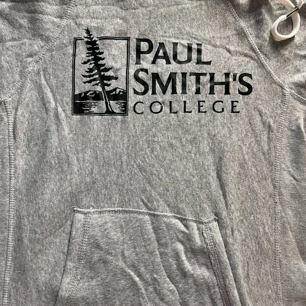 Gray Hooded sweater Dress with Paul smiths college logo - Picture 2 of 3